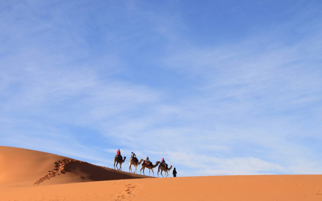 Morocco: Sea, Sand & Summit