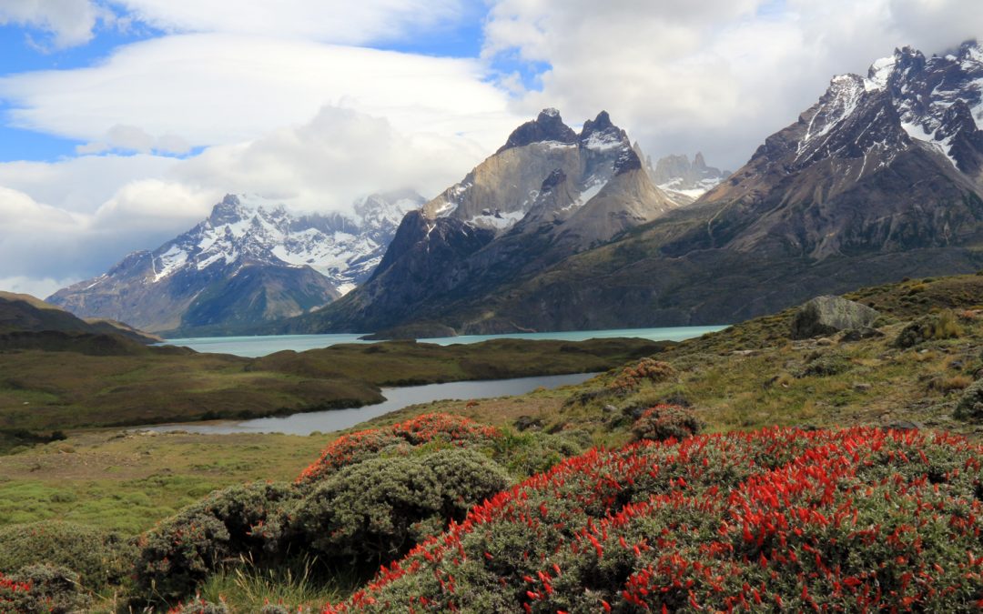 Chile – Explore Top to Bottom